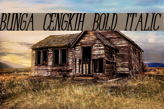 Bunga Cengkih Bold Italic Font examples