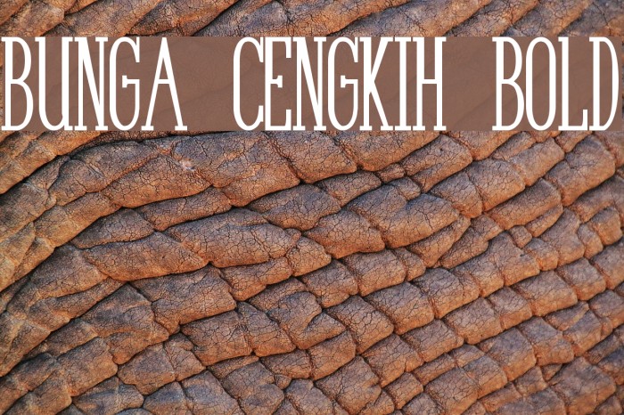 Bunga Cengkih Bold Font examples