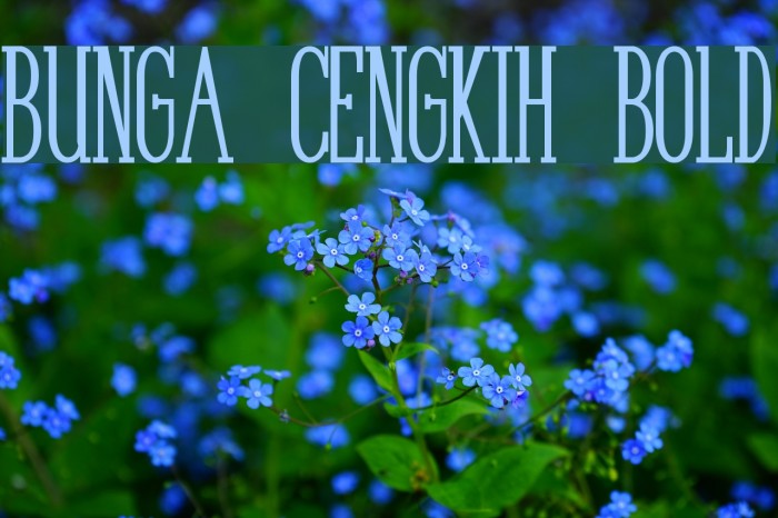 Bunga Cengkih Bold Font examples