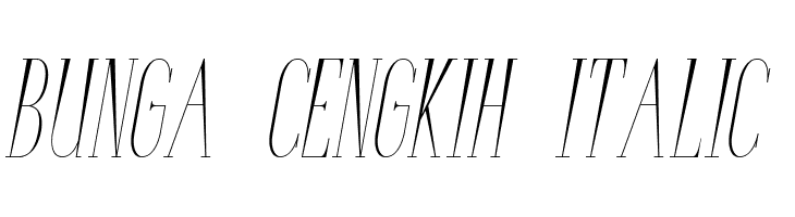 Bunga Cengkih Italic  免费字体下载
