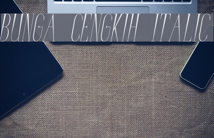 Bunga Cengkih Italic Font examples