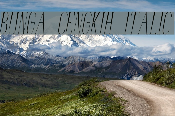 Bunga Cengkih Italic Font examples