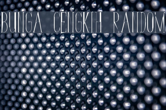 Bunga Cengkih Random Font examples