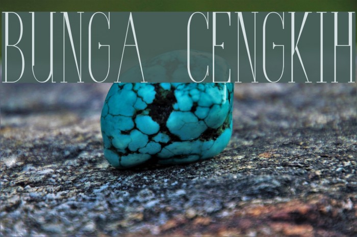 Bunga Cengkih Font examples