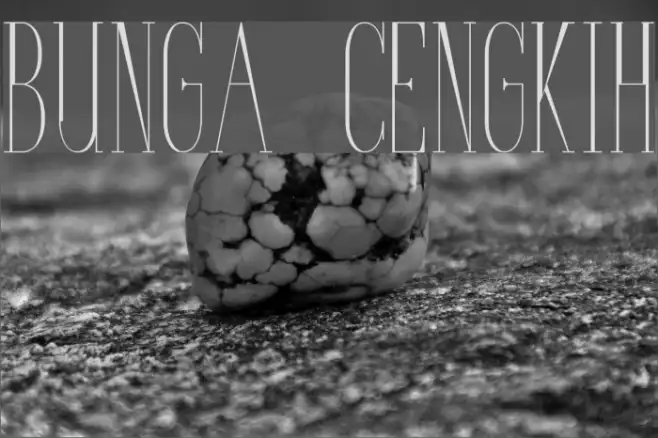 Bunga Cengkih Example 1