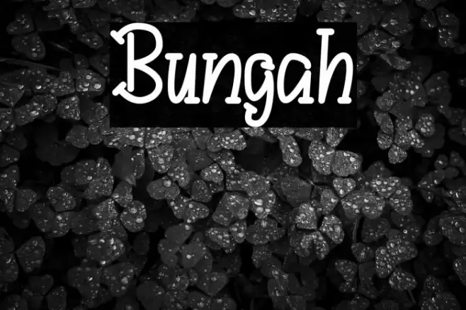 Bungah Font examples