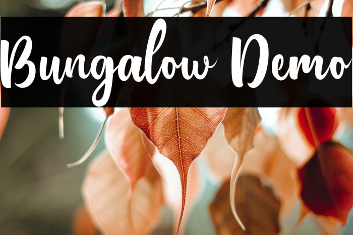 Bungalow Demo Example 3