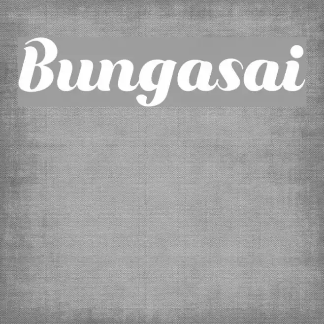 Bungasai Example 1