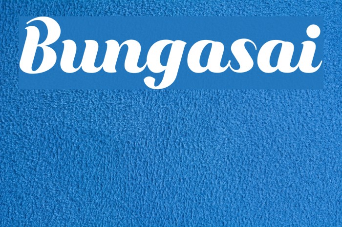 Bungasai Font examples