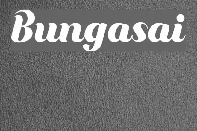 Bungasai Example 2