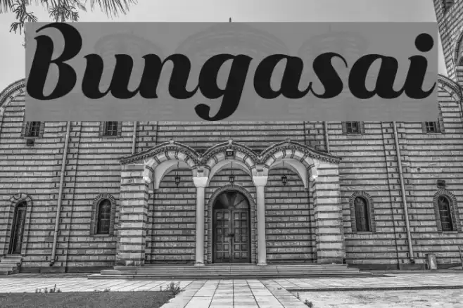Bungasai Example 3