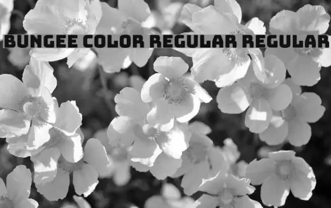 Bungee Color Regular Regular Font examples