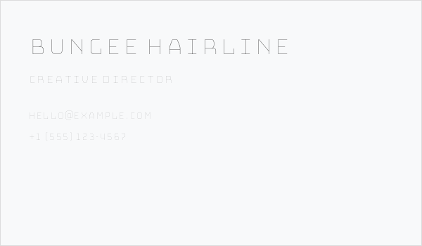 Bungee Hairline Business Card