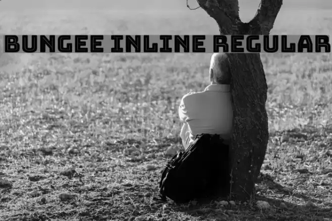 Bungee Inline Regular Font examples