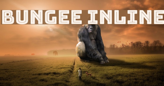 Bungee Inline Font examples