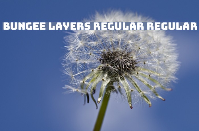 Bungee Layers Regular Regular Font examples