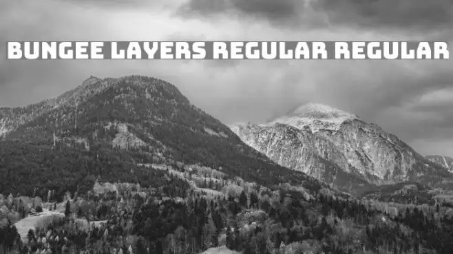 Bungee Layers Regular Regular Example 3
