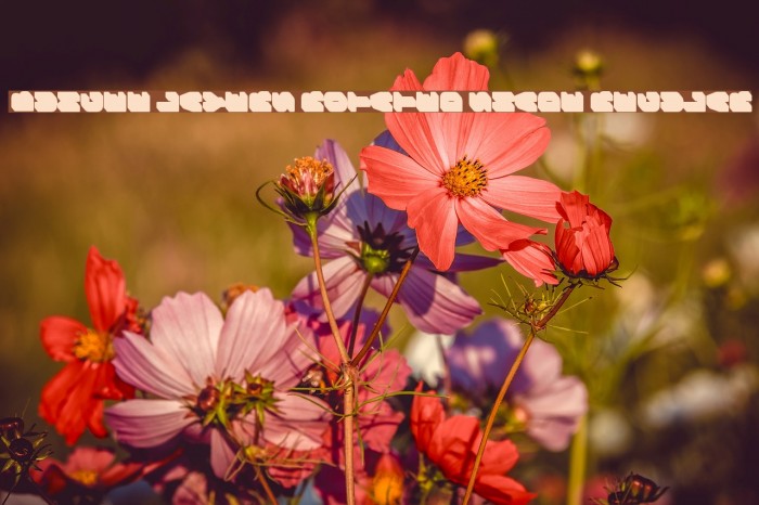 Bungee Layers Rotated Shade Regular Example 2