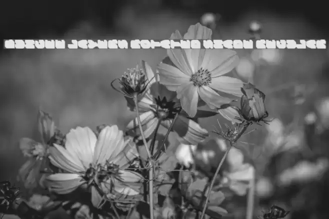 Bungee Layers Rotated Shade Regular Font examples