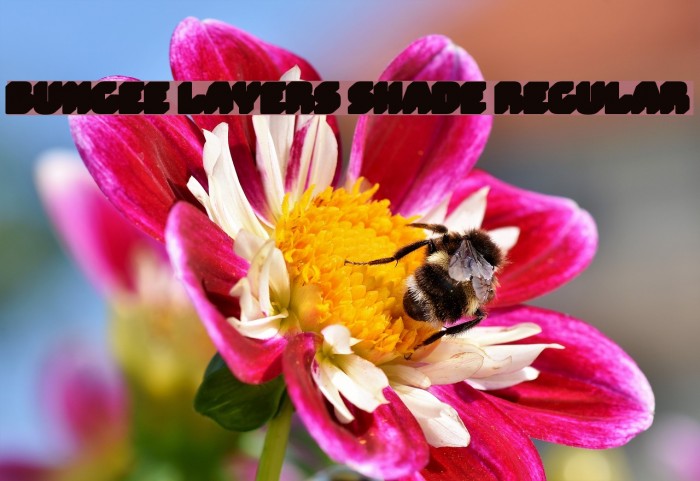 Bungee Layers Shade Regular Font examples