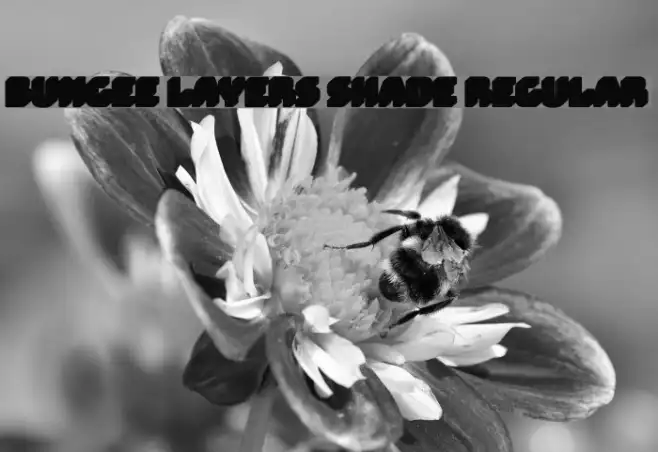 Bungee Layers Shade Regular Example 1