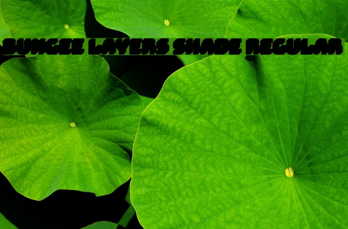 Bungee Layers Shade Regular Font examples
