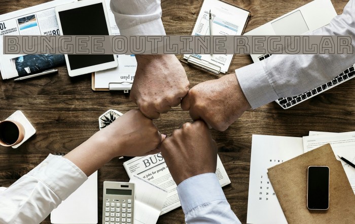 Bungee Outline Regular Example 1