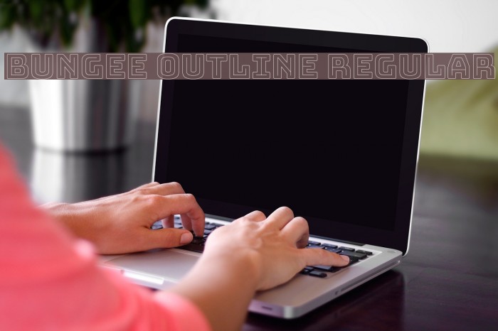 Bungee Outline Regular Example 2