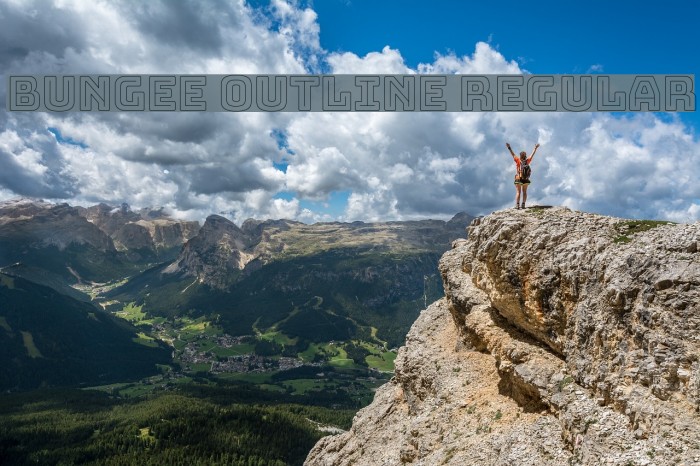 Bungee Outline Regular Example 3