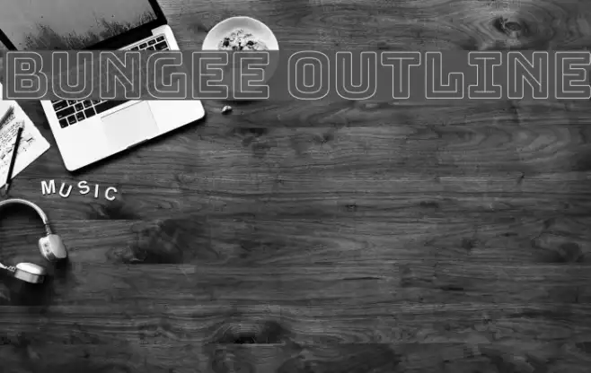 Bungee Outline Example 1