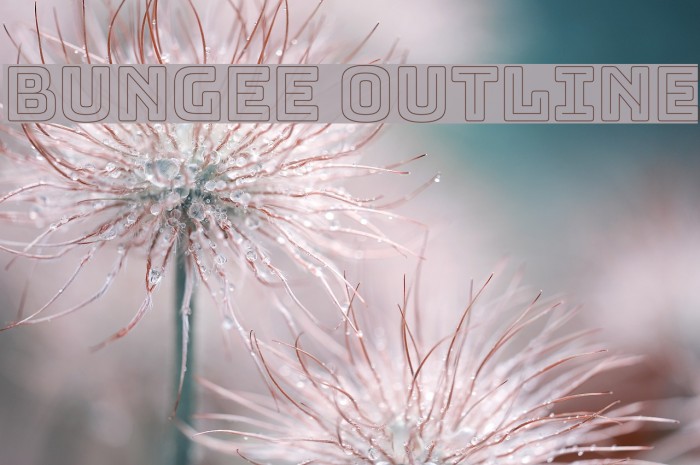 Bungee Outline Font examples