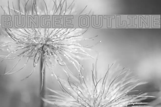Bungee Outline Example 2