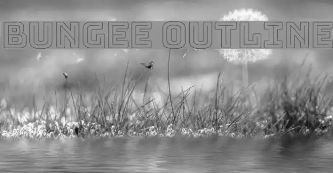 Bungee Outline Example 3