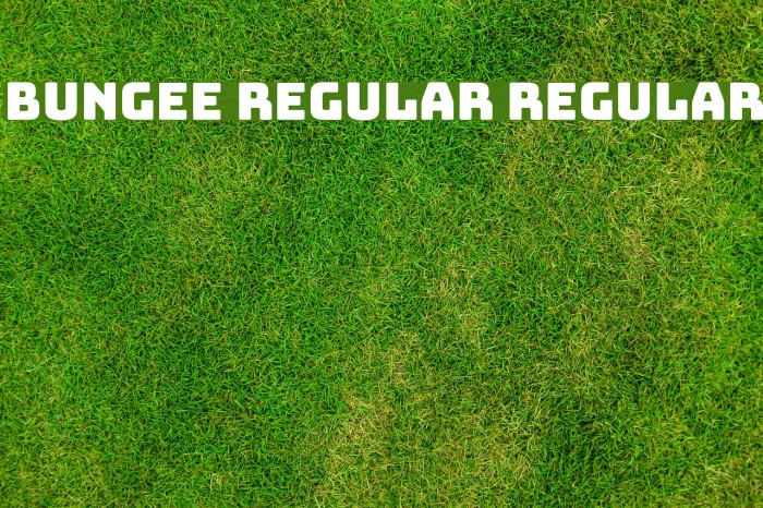 Bungee Regular Regular Font examples