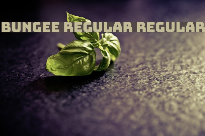 Bungee Regular Regular Font examples