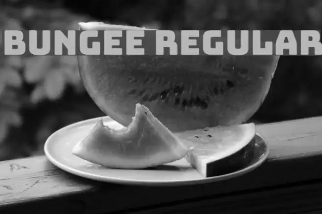 Bungee Regular Font examples