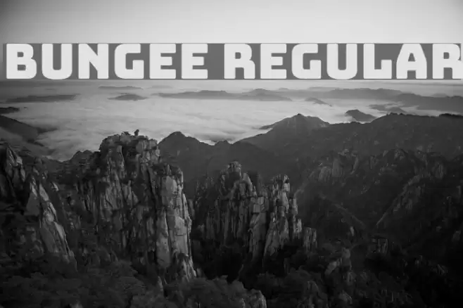 Bungee Regular Font examples