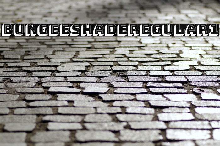 Bungee Shade Regular1 Example 1