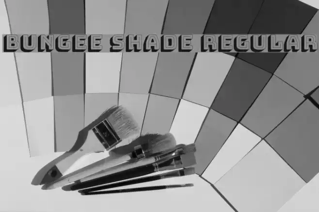 Bungee Shade Regular Example 1