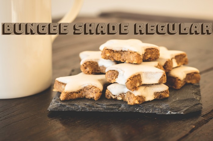 Bungee Shade Regular Font examples