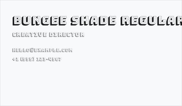 Bungee Shade Regular Business Card