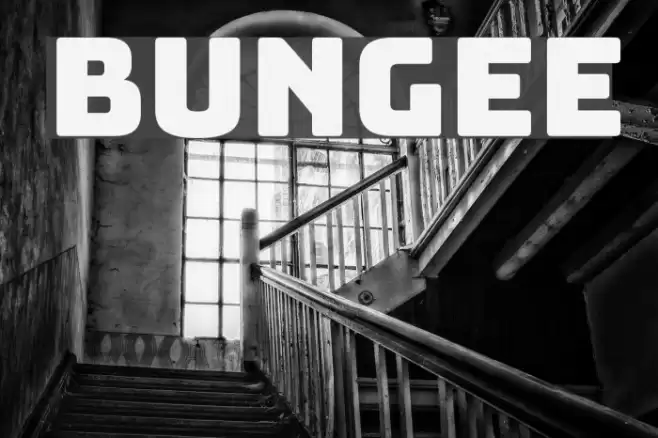 Bungee Font examples