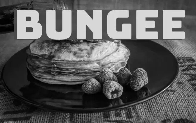 Bungee Font examples