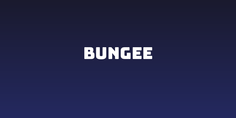 Bungee Social Header