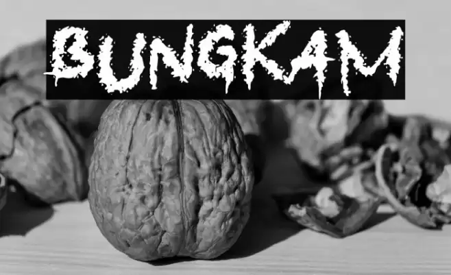 Bungkam Font examples