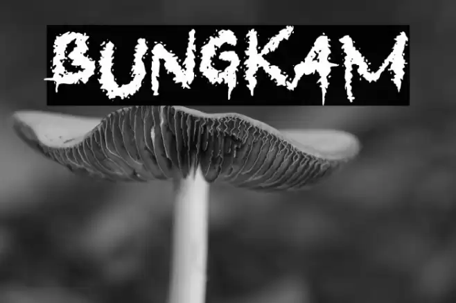 Bungkam Font examples