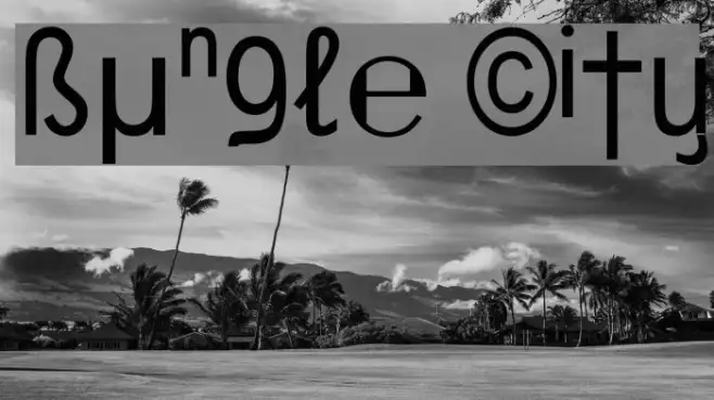 Bungle City Example 1