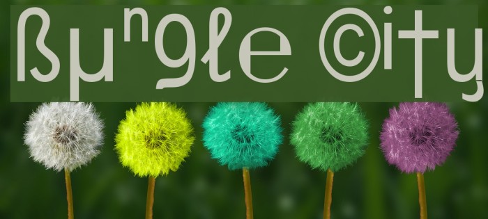 Bungle City Schriftart examples