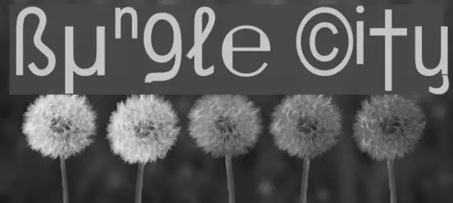 Bungle City Example 3