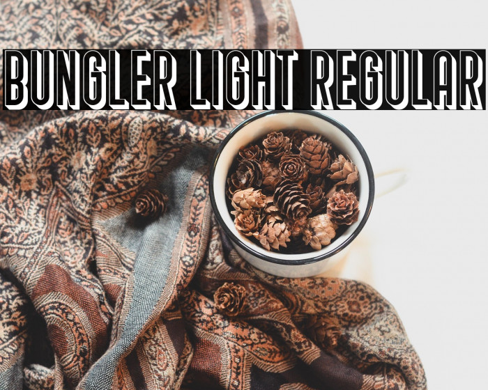 Bungler Light Regular Example 1